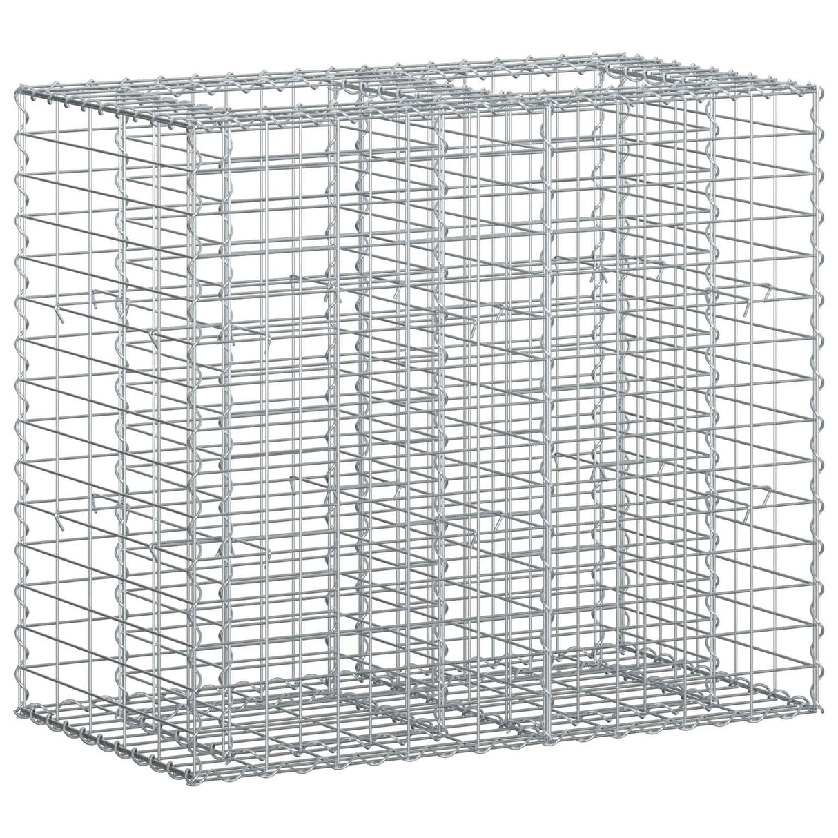 vidaXL Gabion verhoogd bed 2 pcs Zilver 260 x 60 x 55 cm
