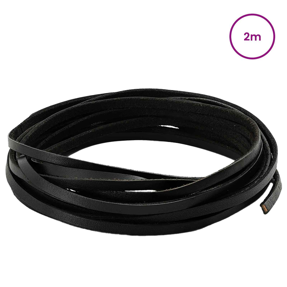 vidaXL Leren riem Zwart 200 x 0,3 cm Leer