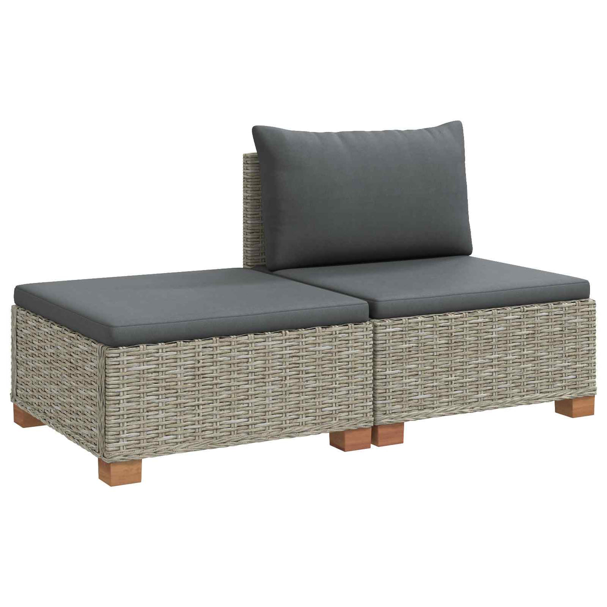 vidaXL 2 st Rieten Loungeset met Kussens GENDT Natuurlijk Riet Naturel