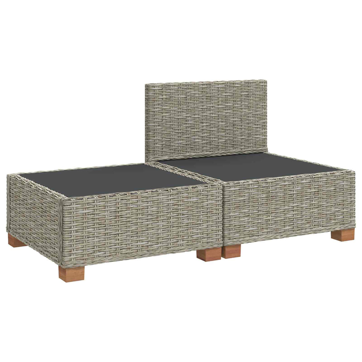 vidaXL 2 st Rieten Loungeset met Kussens GENDT Natuurlijk Riet Naturel