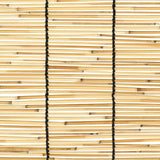 vidaXL Rolgordijn Naturel 60 x 160 cm Riet