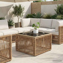 vidaXL Tuin Tafel Zwart 55 x 55 x 37 cm PE Riet en Glas