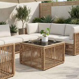 vidaXL Tuin Tafel Zwart 55 x 55 x 37 cm PE Riet en Glas