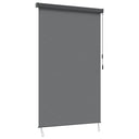 vidaXL Rolgordijn voor buiten 60x250 cm blauw en wit