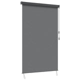 vidaXL Rolgordijn voor buiten 60x250 cm blauw en wit