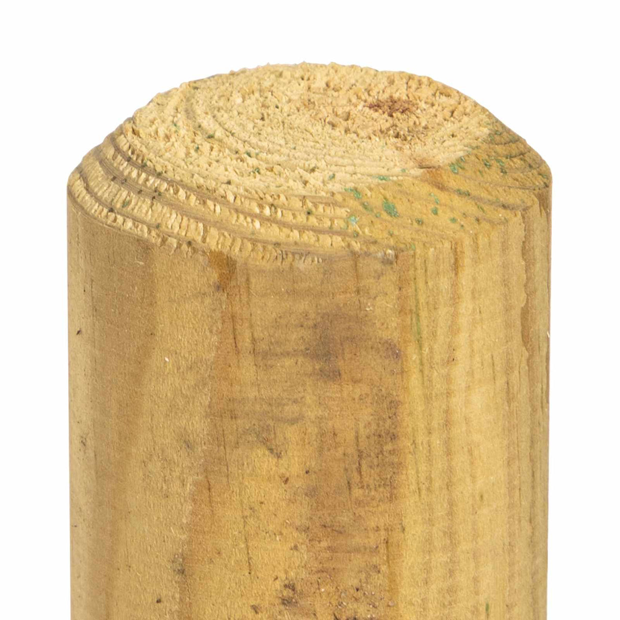 vidaXL Fence Posts 5 st Groen 120 cm Massief grenenhout