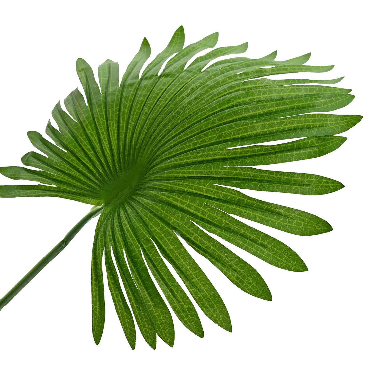 vidaXL Kunstmatige Fan Palmboom Groen 75 x 25 x 180 cm Stof en Bamboe