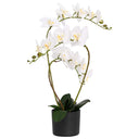 vidaXL Kunst Orchidee Plant met Pot Wit 45 x 15 x 65 cm