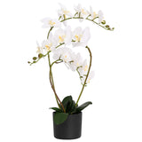 vidaXL Kunst Orchidee Plant met Pot Wit 45 x 15 x 65 cm