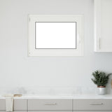 Cellar Window RISOR White 50 x 50 cm PVC and Glass