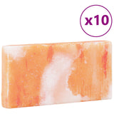 vidaXL Zoutstenen 10 pcs Roze 20 x 10 x 5 cm Zoutsteen