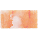 vidaXL Zoutstenen 10 pcs Roze 20 x 10 x 5 cm Zoutsteen