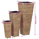 vidaXL Raised Planters 3 pcs water hyacinth brown