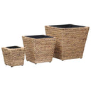 vidaXL Raised Planters 3 pcs water hyacinth