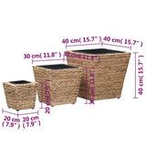 vidaXL Raised Planters 3 pcs water hyacinth