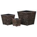 vidaXL Raised Planters 3 pcs water hyacinth