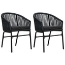 vidaXL Tuinstoelen 2 st PE-rattan zwart