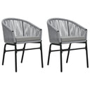 vidaXL Tuinstoelen 2 st PE-rattan zwart