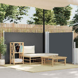 vidaXL Windscherm uittrekbaar 160x600 cm bruin