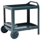 vidaXL Dranktrolley 69x53x72 cm kunststof wit