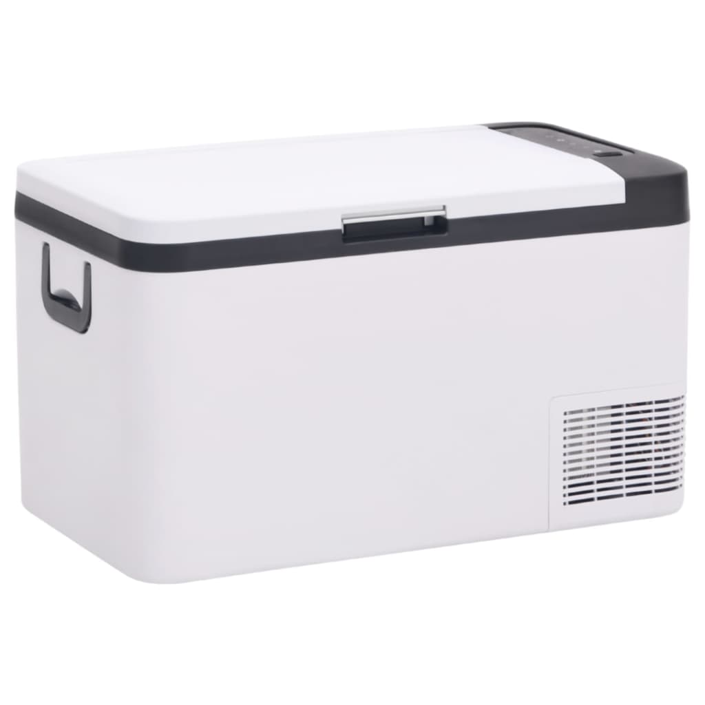vidaXL Koelbox met handvat en adapter 18 L PP & PE zwart en wit