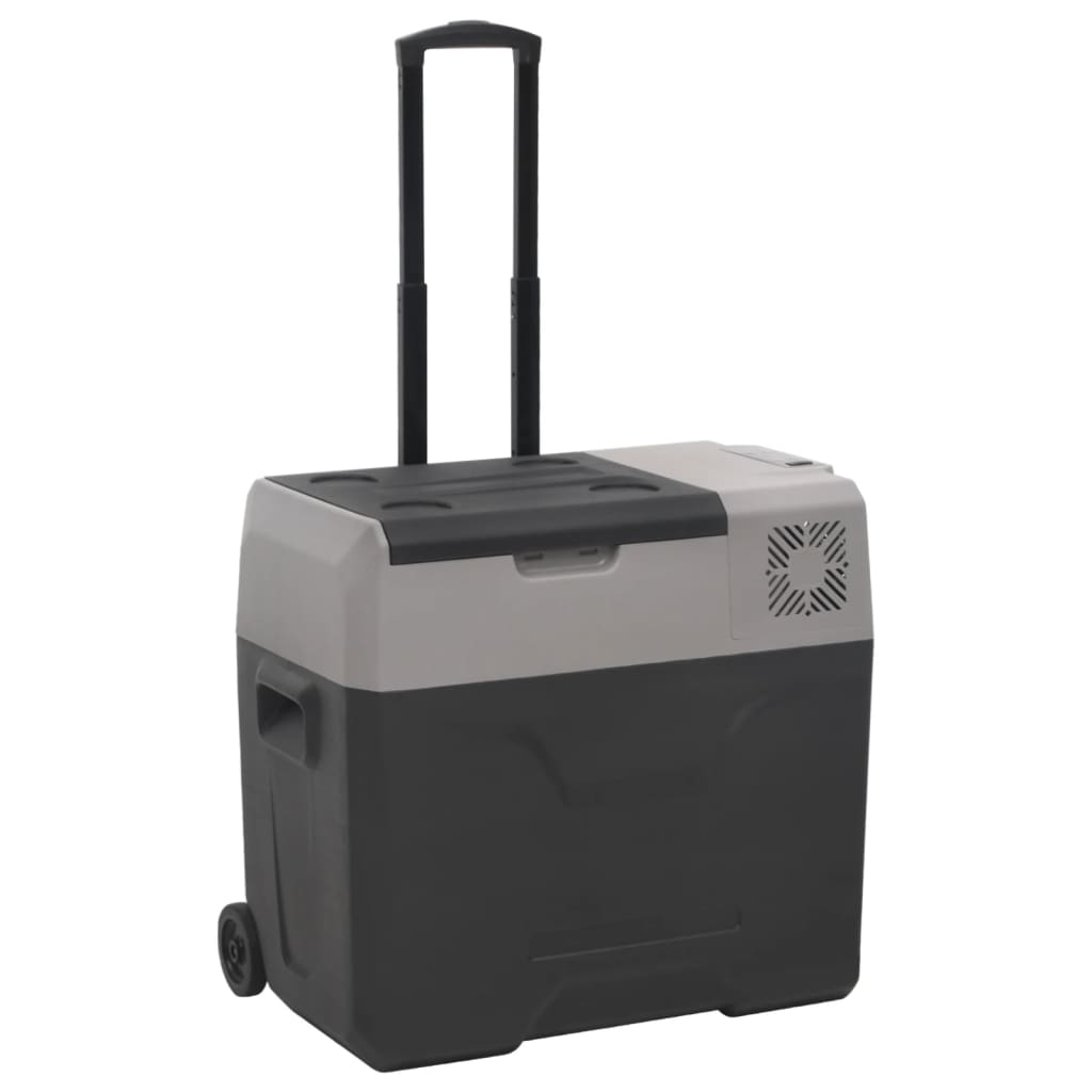 vidaXL Koelbox met wielen en adapter 30 L polypropeen zwart en grijs