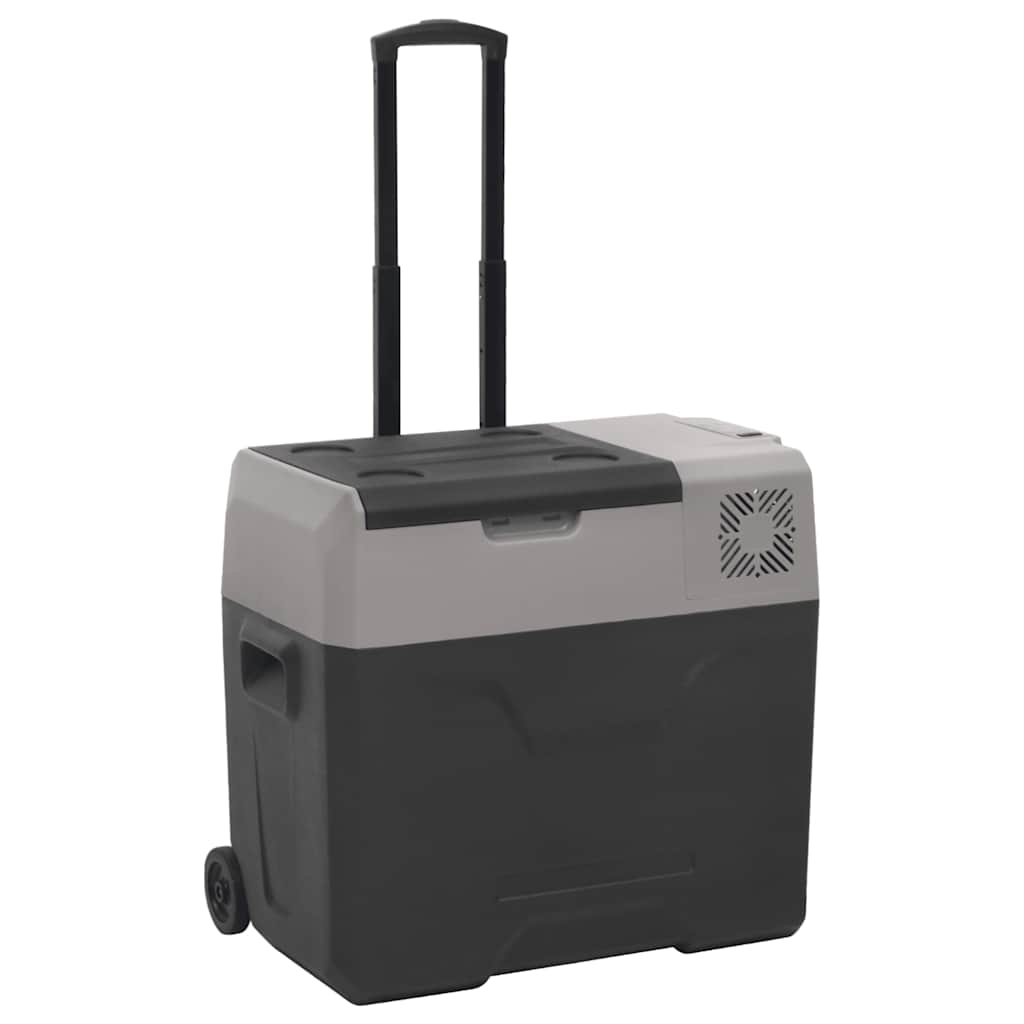 vidaXL Koelbox met wielen en adapter 30 L polypropeen zwart en grijs