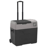 vidaXL Koelbox met wielen en adapter 30 L polypropeen zwart en grijs