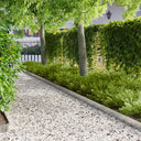 vidaXL Grasafscherming 10 pcs Lengte Hoogte 103 x 15 cm Staal Zwart
