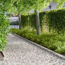 vidaXL Grasafscherming 10 pcs Lengte Hoogte 103 x 15 cm Staal Zwart