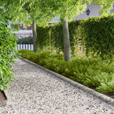 vidaXL Grasafscherming 10 pcs Lengte Hoogte 103 x 15 cm Staal Zwart