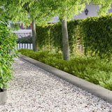 vidaXL Grasafscherming 10 pcs Lengte Hoogte 103 x 15 cm Staal Zwart