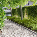vidaXL Gazonrand 10 pcs 103 x 10 cm Staal Zwart