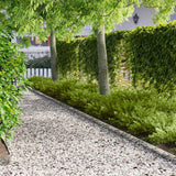 vidaXL Gazonrand 10 pcs 103 x 10 cm Staal Zwart
