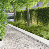 vidaXL Gazonrand 10 pcs 103 x 10 cm Staal Zwart