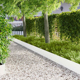 vidaXL Gazonrand 10 pcs 103 x 10 cm Staal Zwart