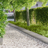 vidaXL Gazonrand 10 pcs 103 x 10 cm Staal Zwart