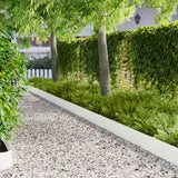 vidaXL Gazonrand 10 pcs 103 x 10 cm Staal Zwart