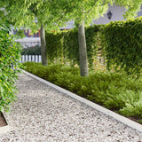 vidaXL Lawn Edging 10 pcs 100 x 12 cm Steel Black