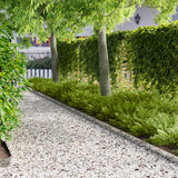 vidaXL Lawn Edging 10 pcs 100 x 12 cm Steel Black