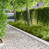 vidaXL Lawn Edging 10 pcs 100 x 12 cm Steel Black
