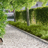 vidaXL Lawn Edging 10 pcs 100 x 12 cm Steel Black