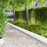 vidaXL Lawn Edging 10 pcs 100 x 12 cm Steel Black
