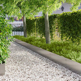 vidaXL Lawn Edging 10 pcs 100 x 12 cm Steel Black
