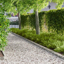 vidaXL Gazonrand 10 pcs 103 x 15 cm Staal Zwart