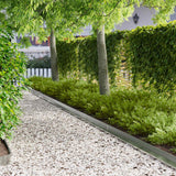 vidaXL Gazonrand 10 pcs 100 x 10 x 8 cm Staal Zilverkleurig