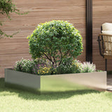 vidaXL Gazonrand 60 x 60 x 20 cm Staal Zilverkleurig