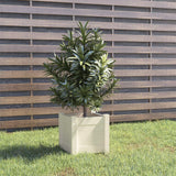 vidaXL Planters 2 pcs 31x31x31 cm solid pine wood
