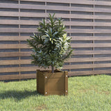 vidaXL Planters 2 pcs 31x31x31 cm solid pine wood