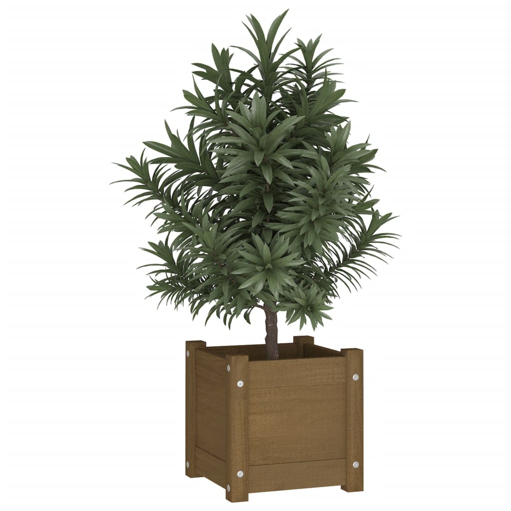 vidaXL Planters 2 pcs 31x31x31 cm solid pine wood